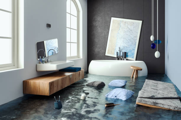 Best Ceiling water damage repair  in Lake Summerset, IL
