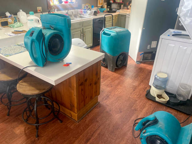 Best Emergency water damage restoration  in Lake Summerset, IL