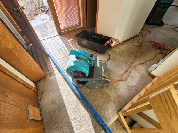 Best Water damage restoration experts  in Lake Summerset, IL