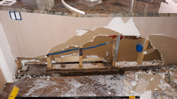 Best Water damage restoration near me  in Lake Summerset, IL