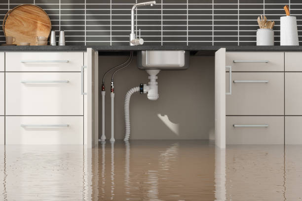 Best Mold removal after water damage  in Lake Summerset, IL
