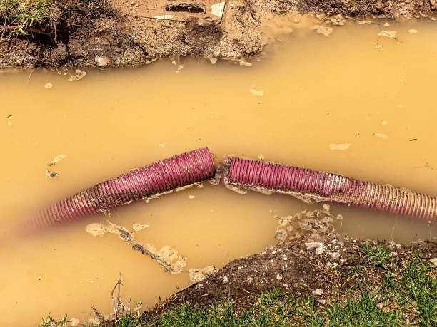 Best Water damage restoration near me  in Lake Summerset, IL